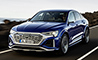 Sportback 55 quattro Business Advanced 9